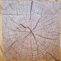 #TISCHDECKE # 80×80 cm # HOLZ LOOK#HELL BRAUN # NEU# Rheinland-Pfalz - Bitburg Vorschau