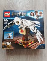 LEGO Harry Potter 75979 Hedwig - NEU OVP Ludwigslust - Landkreis - Ludwigslust Vorschau