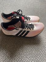Sportschuhe Adidas Größe 42 Hessen - Steinbach Vorschau