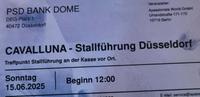 Cavalluna Stallführung Düsseldorf Nordrhein-Westfalen - Schwelm Vorschau