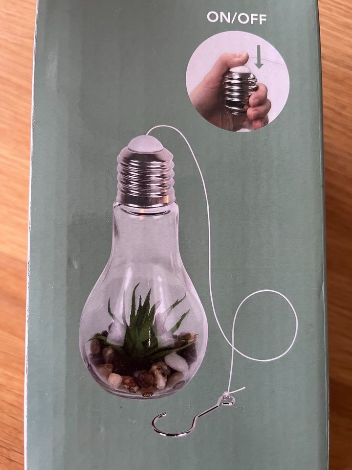 Glühbirne Dekohänger aus Glas Kunstpflanze Geschenkidee NEU in Meerbusch