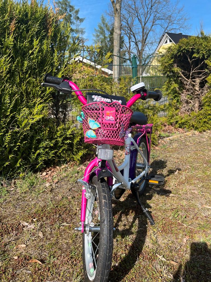 Kinderfahrrad 16 Zoll Fahrrad in Bergfelde