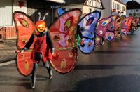Gruppenkostüm Schmetterling evtl. Dekoration Karneval Bayern - Gochsheim Vorschau