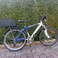 Alltags-MTB: Peugeot Unisex Fahrrad mit Komplett-Ausstattung Wandsbek - Hamburg Bramfeld Vorschau