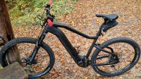 Haibike Hardnine 8 29"  Große XL (51cm) Baden-Württemberg - Geislingen an der Steige Vorschau