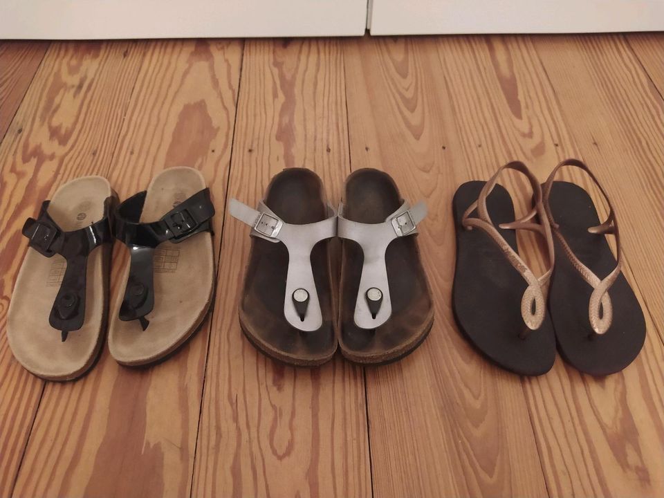 Havaianas birkenstock shop