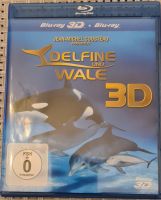 Delfine und Wale 3D Hessen - Rödermark Vorschau