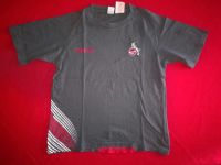 1.FC KÖLN Jungen T-Shirt in Größe 164 von Reebok Bonn - Duisdorf Vorschau