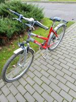 Damenfahrrad 26 Zoll Thüringen - Rudolstadt Vorschau