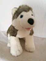 Hübscher Husky - Marke Build-a-bear - Stofftier Niedersachsen - Oldenburg Vorschau