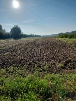 Grundstück/Resthof/ Wiese gesucht Nordrhein-Westfalen - Herzebrock-Clarholz Vorschau