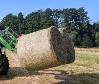 Heu, Heuballen, Rundballen, Bio Bayern - Sparneck Vorschau