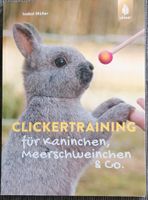Clickertraining für Kanninchen, Meerschweinchen und Co Niedersachsen - Bad Pyrmont Vorschau