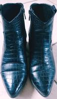 Stiefeletten von Tom Tailor in Reptiloptik Nordrhein-Westfalen - Arnsberg Vorschau