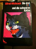 Die drei Fragezeichen und die schwarze Katze Brandenburg - Potsdam Vorschau