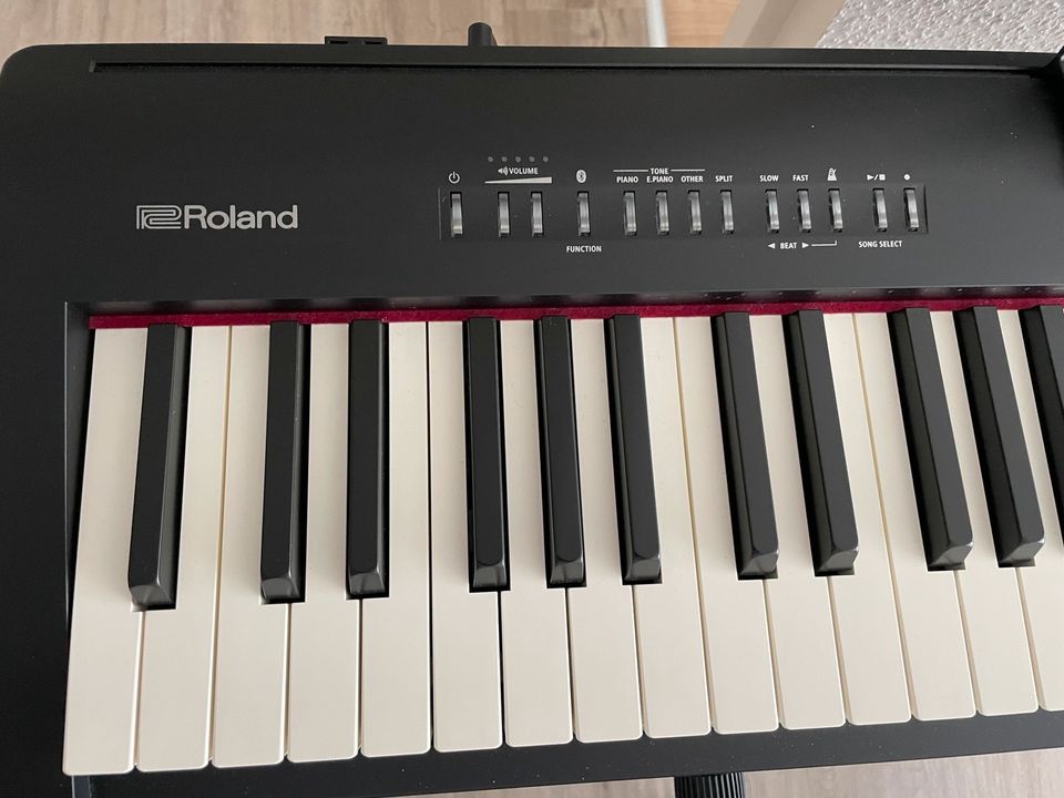 Roland FP-30 in Forchheim