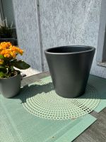 Pflanzen Topf grau/anthrazit metallic Keramik D24cm H21,5 Essen - Karnap Vorschau