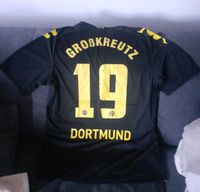 Bvb Borussia Dortmund Trikot "Großkreutz" Baden-Württemberg - Erbach Vorschau