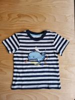 TShirt, neu, Gr. 74 Nordrhein-Westfalen - Paderborn Vorschau