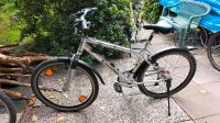 26" Mountainbike mit 24 Gang Kettenschaltung Niedersachsen - Brake (Unterweser) Vorschau