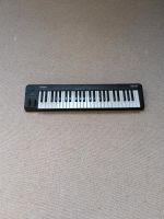 ION Key 49 USB MIDI keyboard Controller Hessen - Groß-Rohrheim Vorschau