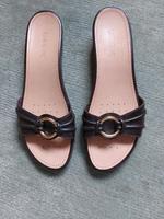 Geox, Sandalen, Slipper Sommerschuhe Flip-Flops Flip Flops 41 Nordrhein-Westfalen - Brakel Vorschau