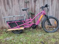 Yuba Spicy Curry Cargobike Lastenrad Bosch Cargol. Discbrake NEU Dresden - Cotta Vorschau