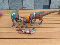 Dinosaurier Figuren von CollectA - Deluxe Modelle Aubing-Lochhausen-Langwied - Aubing Vorschau