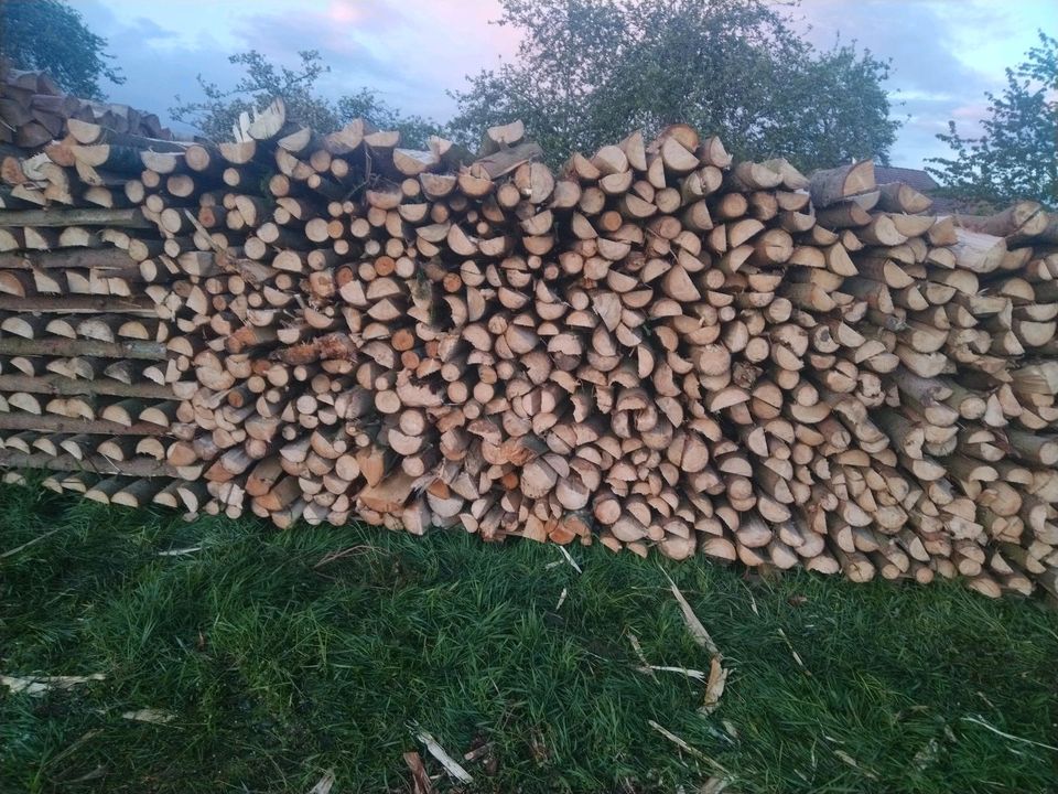 Brennholz zu verkaufen in Riedenheim