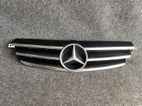 Mercedes W209 SLK R170 Kühlergrill Grill  Avantgarde 2098800123 Hessen - Mühlheim am Main Vorschau