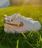 Nike Sneaker Leo-Muster / neuwertig / Gr.42 / 50€ Nordrhein-Westfalen - Detmold Vorschau