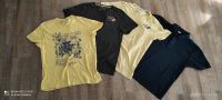 T-Shirts und Poloshirt, S.Oliver, Esprit, Fruit of the loom, XXL Rheinland-Pfalz - Mittelbrunn Vorschau