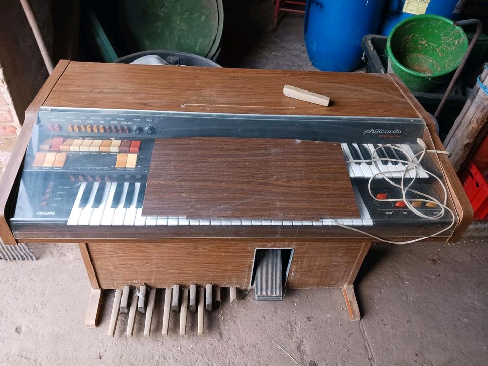 Elektrische Orgel zu verschenken in Schönefeld