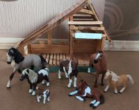 Schleich Pferde, Ponys, Fohlen Nordrhein-Westfalen - Bad Driburg Vorschau