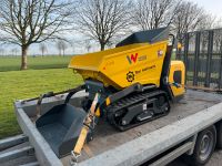 Wacker Neuson DT10 Kettendumper Motorschubkarre Dumper mieten Dithmarschen - Marne Vorschau