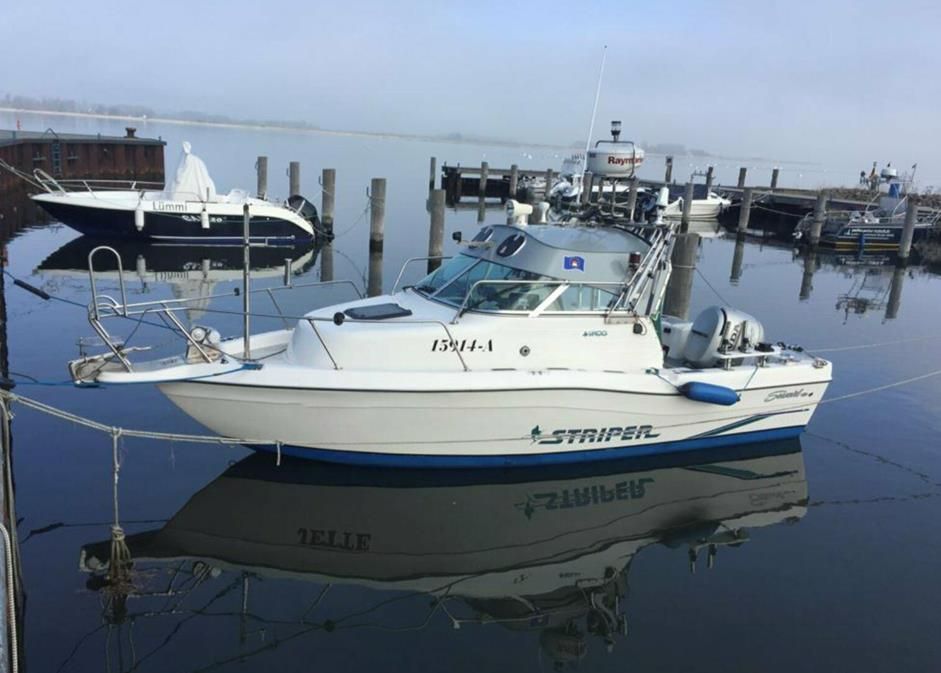 Trollingboot Motorboot Angelboot Seaswirl Striper 2100 + Trailer in Elmenhorst/Lichtenhagen