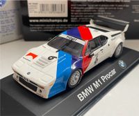 Minichamps Piquet 6# BMW M1 Procar 1:43 Modellauto Hamburg-Mitte - Hamburg Altstadt Vorschau