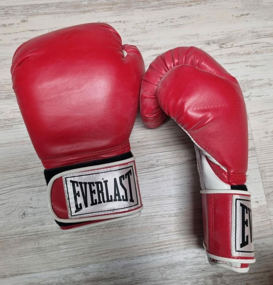 Boxhandschuhe Everlast in Halbs