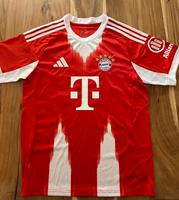 FC Bayern München Trikot 2025/2026 Musiala L FCB 42 Niedersachsen - Schneverdingen Vorschau