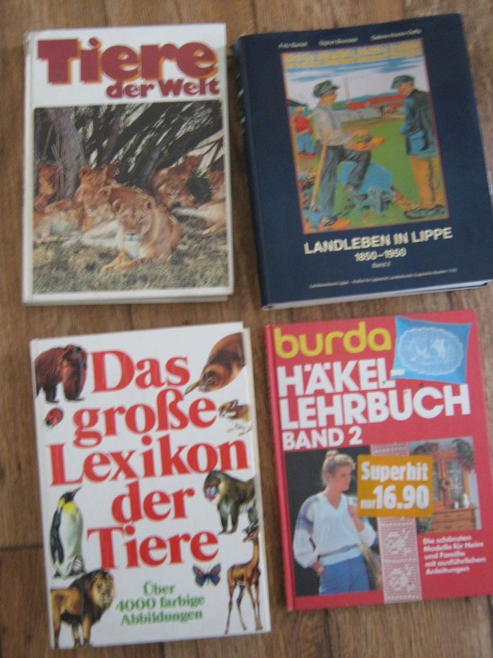 Verschiedene Bücher in Barntrup
