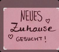 Haus oder Wohnung gesucht Niedersachsen - Bad Essen Vorschau