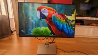 Dell 24 inch monitor mit USB Hub builtin (P2422H) Eimsbüttel - Hamburg Eimsbüttel (Stadtteil) Vorschau