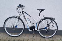 E Bike Haibike Inklusive 2 Bosch Akkus Rheinland-Pfalz - Bad Kreuznach Vorschau
