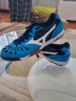 Sportliche Mizuno-Schuhe (Größe:45) Essen - Essen-Borbeck Vorschau