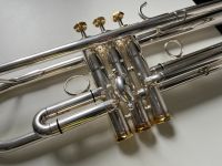 Teilvergolden - Trompete Flügelhorn Tenorhorn Bariton Tuba Baden-Württemberg - Krautheim Vorschau