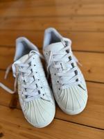 Adidas Super Star Schuhe Größe 36,5 Nordrhein-Westfalen - Löhne Vorschau