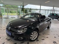 Volkswagen Eos 1,4  Cabrio*Navi*Klima*Sitzheizung* Niedersachsen - Freren Vorschau