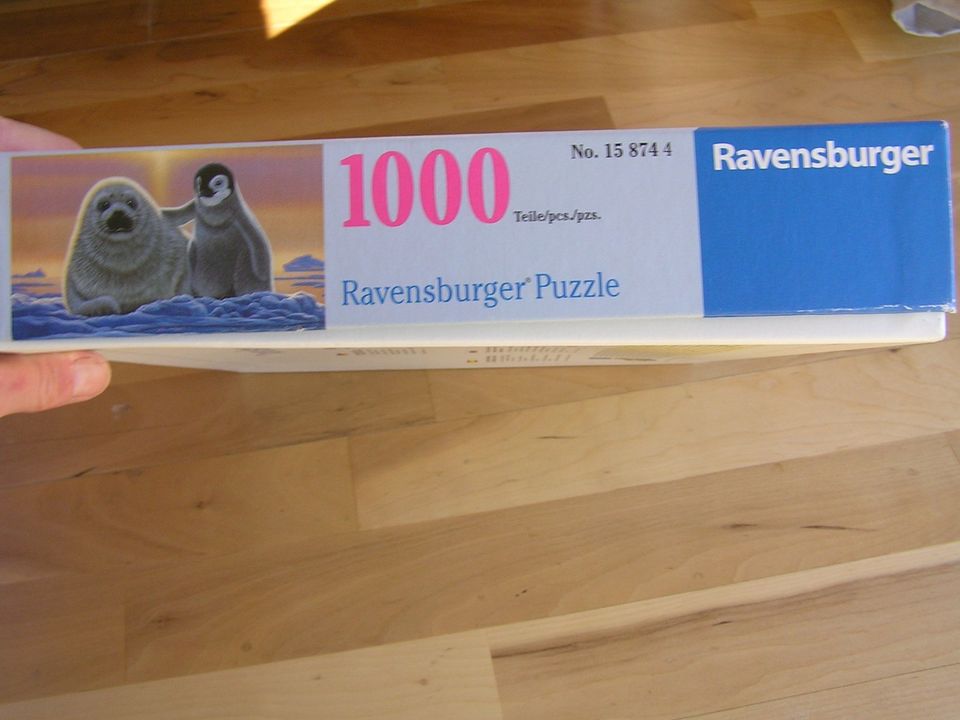 Ravensburger Puzzle 1000 Teile, Friends around the World in Bad Grönenbach