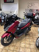 Honda Forza 125 ABS / Smart Topcase / TOP ZUSTAND / TÜV / B196 Kiel - Suchsdorf Vorschau