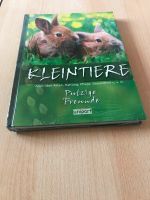 Kleintiere Hase Meerschwein Haltung Pflege Arten Ostern Kinder Bayern - Bad Tölz Vorschau